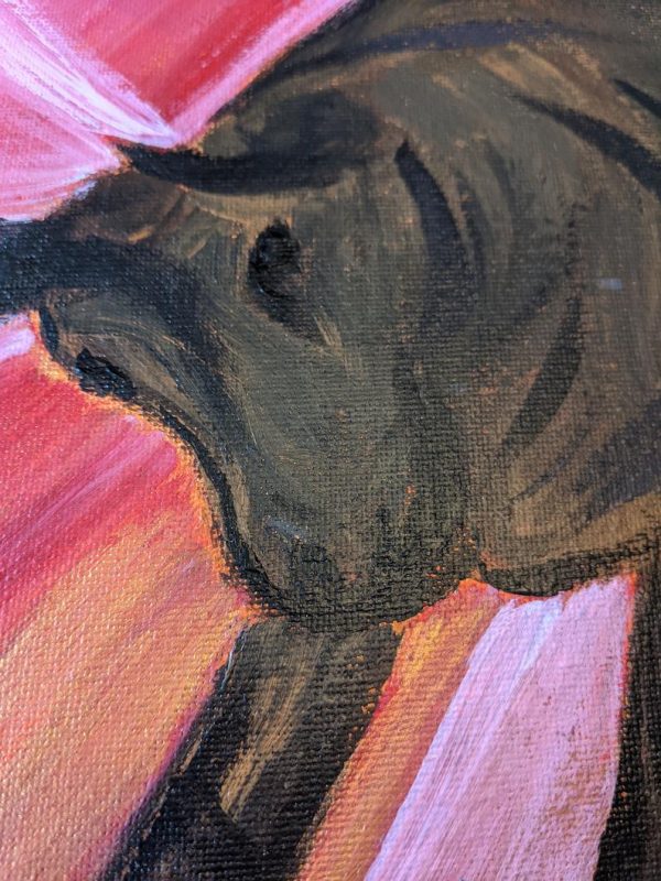 Taurus - Image 3